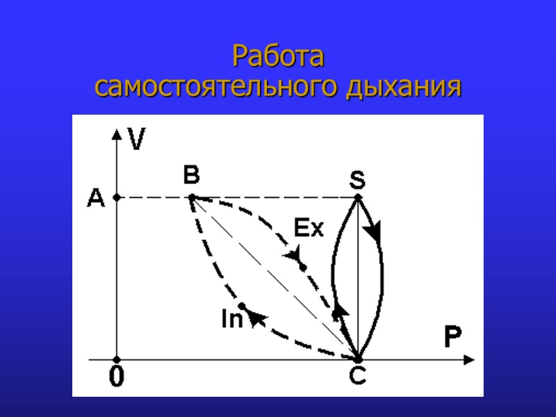 Работа  самостоятельного дыхания
